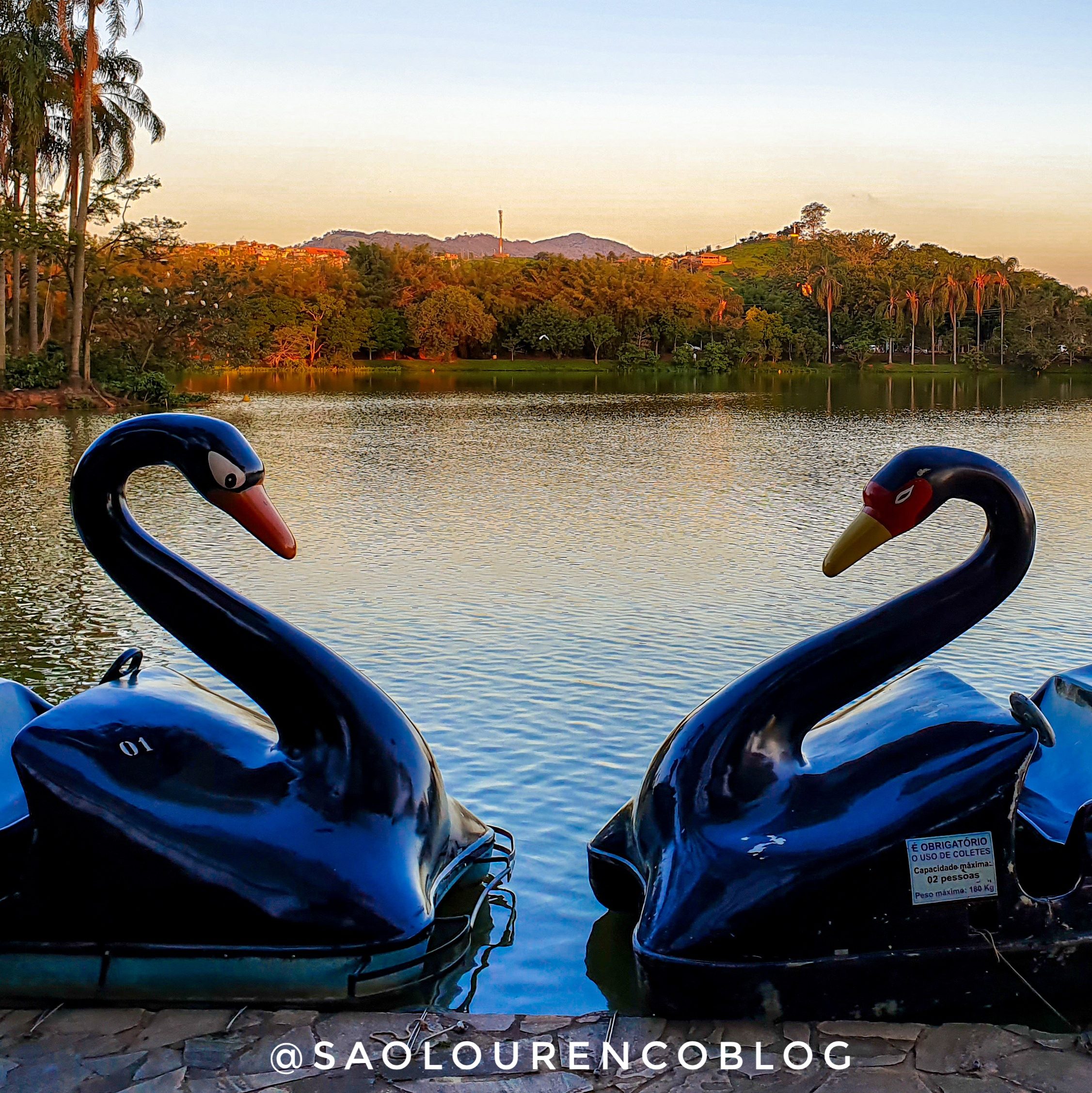 pedalinho do lago parque das águas